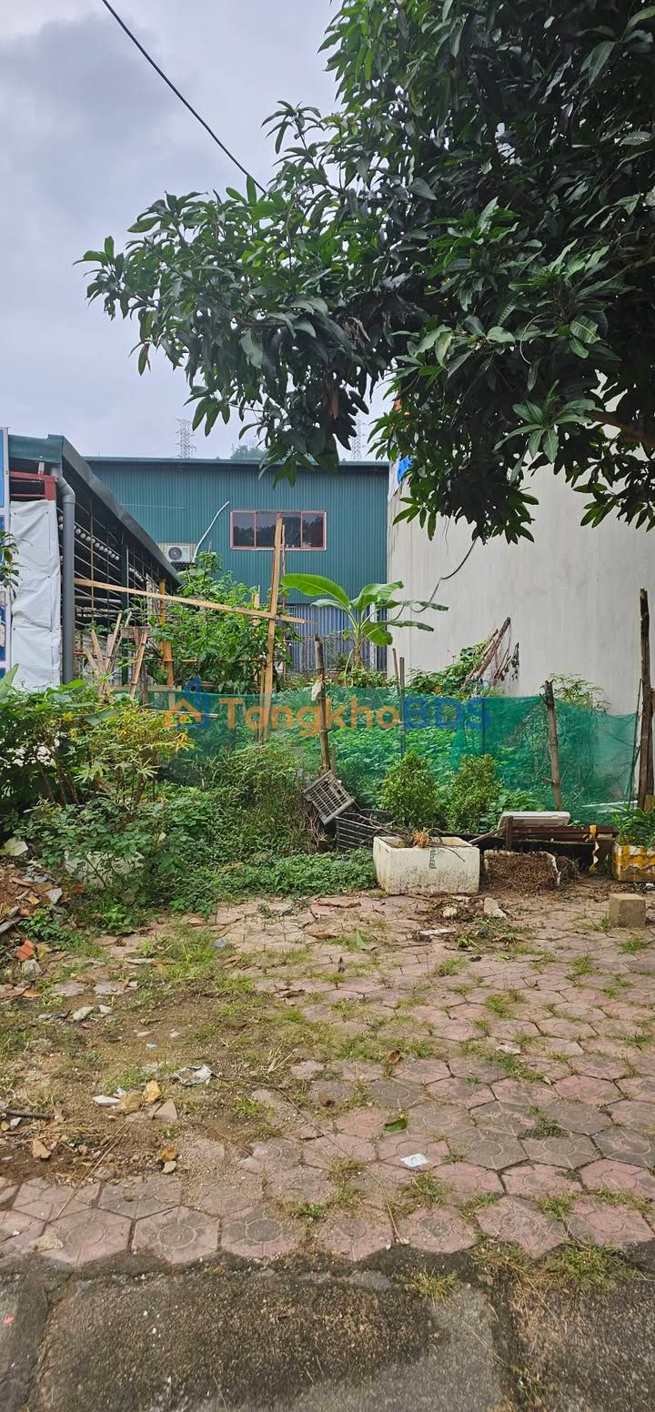 Đất nền Trần Thị Lan Lào Cai 100m² 2.7 tỷ - Tiềm năng tăng giá