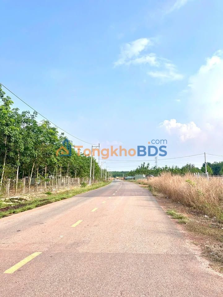 Đất Nền Bến Cát 325m² - Mặt Tiền Đường Nhựa, Thổ Cư 100% - Giá Tốt