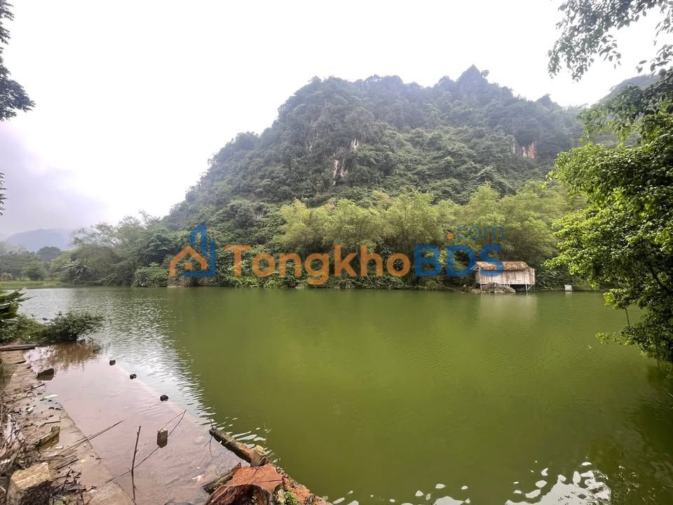 Đất nền Liên Sơn Hòa Bình 726m² thỏa thuận - Nghỉ dưỡng lý tưởng