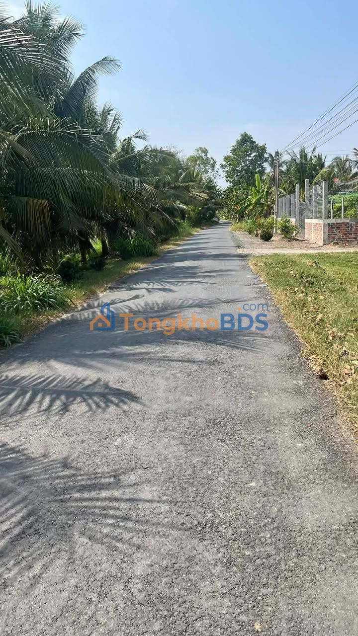 Đất nền Ba Tri 500m² giá 650 triệu - Đường to ô tô