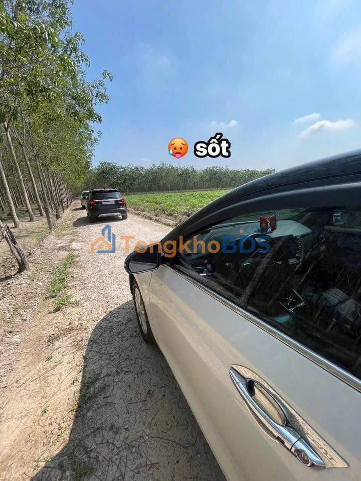 Đất Nền Minh Phụng Quận 11 3000m² - Giá Hời 9 Tỷ