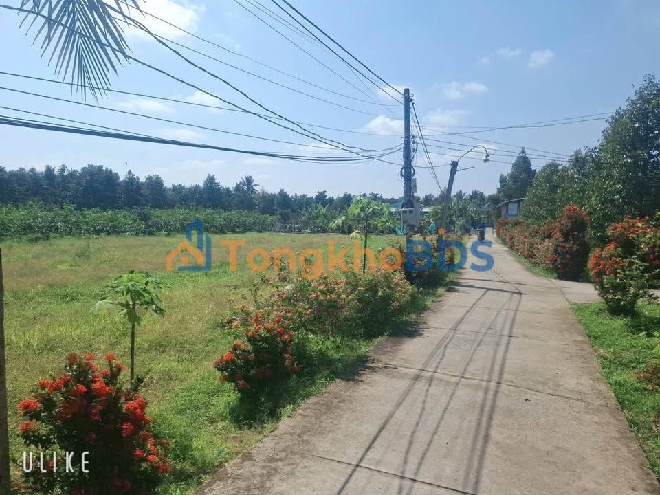 Đất Nền Thổ Cư 125m² Xã Bình Trưng, Tiền Giang - Giá Tốt