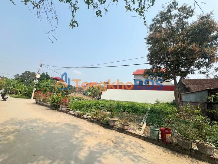 Đất nền Ngọ Xá Xuân Cẩm 100m² 1 tỷ - Sổ đỏ chính chủ