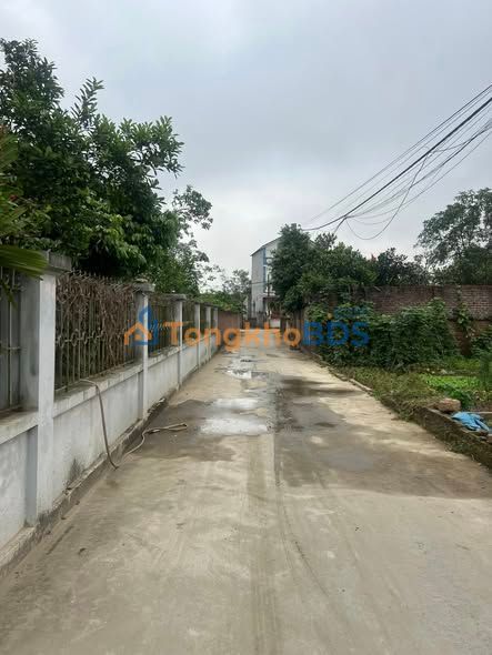 Đất nền Thôn Tam Hợp Bắc Lý 125m² 1 tỷ - Sổ đỏ chính chủ