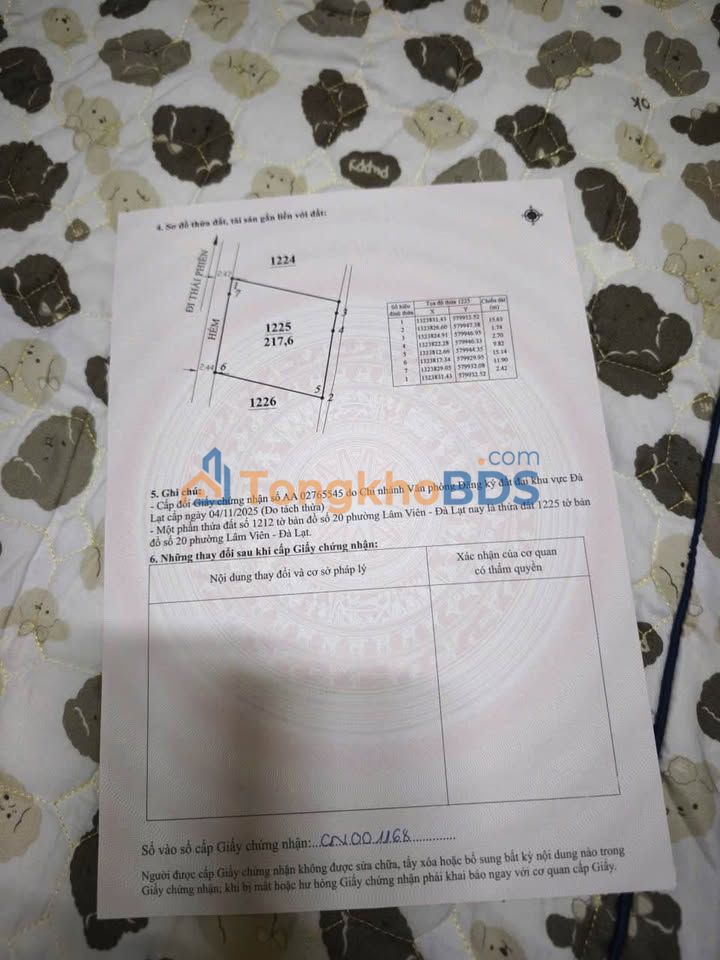 Đất Thái Phiên Đà Lạt 217m² 3.8 tỷ - Sổ đỏ chính chủ