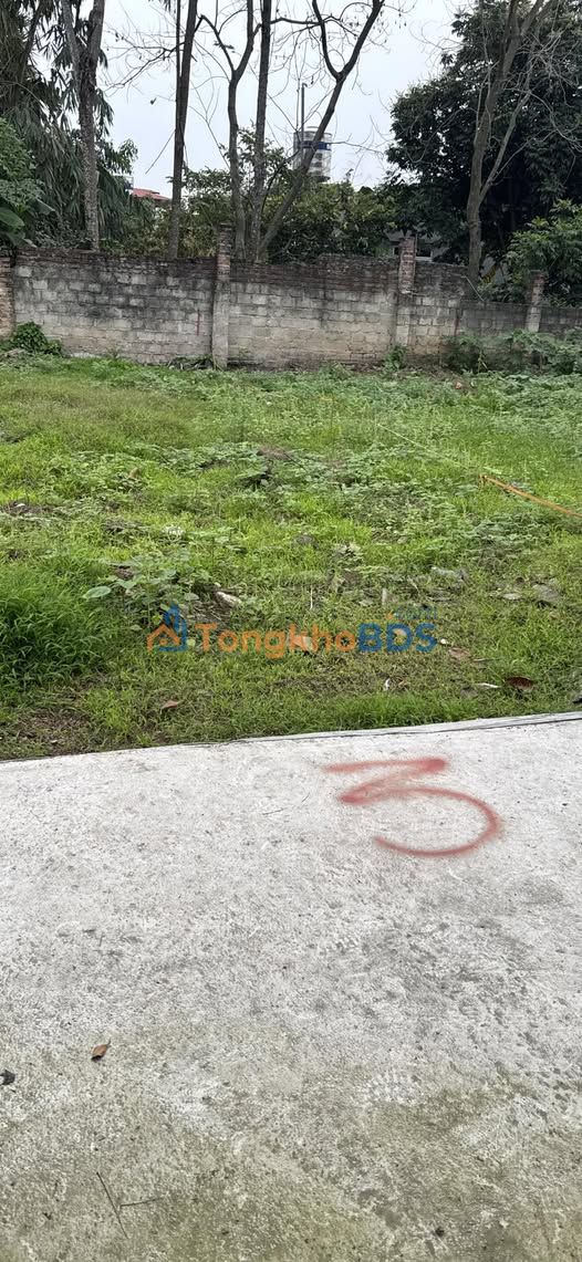 Nhà riêng Thanh Miếu Việt Trì 70m2 dưới 1.7 tỷ - Ô tô vào tận nhà