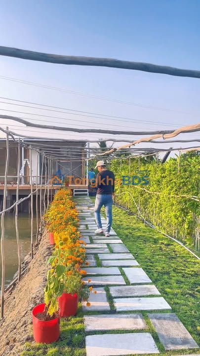 Bán Gấp Nhà Vườn 1670m² An Phú Đông, Q12 - Giá Thỏa Thuận