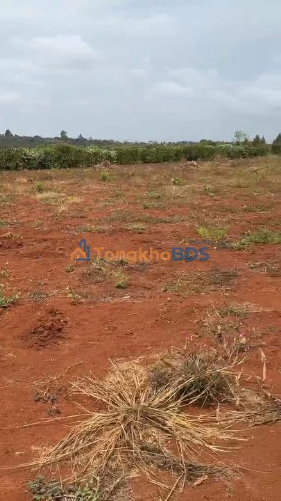 Đất nền Ia Pia Chư Prông 1.800m² 800 triệu - Sổ đỏ chính chủ