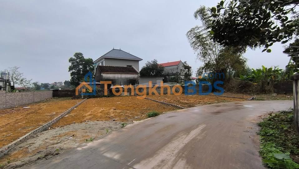 Đất Nền Cao Xá, Bắc Giang 240m² - Sổ Đỏ Rõ Ràng, Giá Cực Hời!