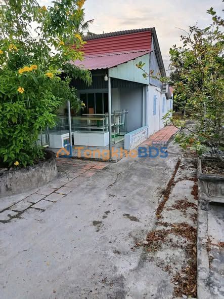 Nhà Vườn 1700m² Phường Mỹ Phước - Giá Thuê 4 Triệu/Tháng