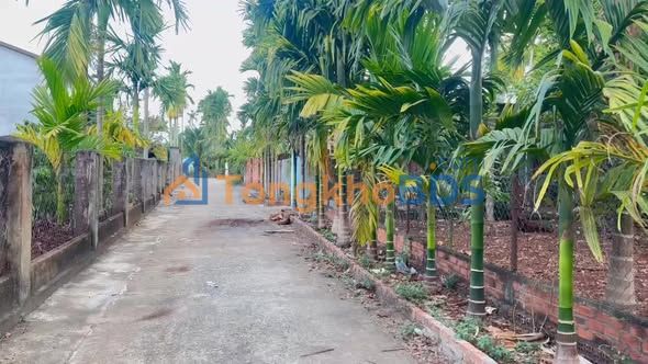 Đất nền Quảng Điền Krông Ana 120m² 2xx triệu - Hạ tầng hoàn thiện