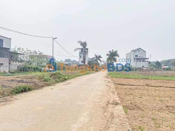 Đất nền TL325B Tiên Kiên 155m² 1 tỷ - Đường to ô tô