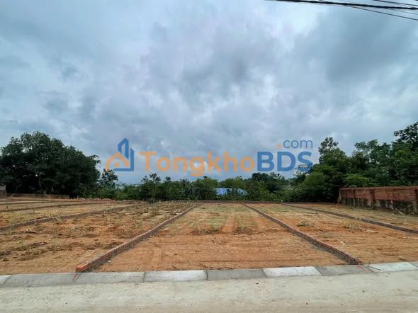 Đất nền Hướng Đạo Tam Dương 116m² giá 1 tỷ - Sổ đỏ chính chủ