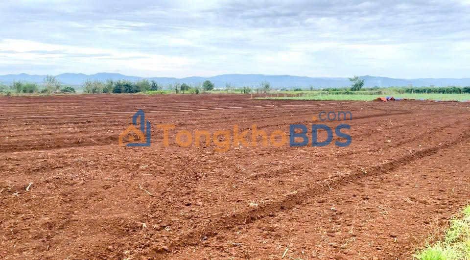 Đất vườn Đức Trọng 2 sào 12m mặt tiền - Nghỉ dưỡng lý tưởng