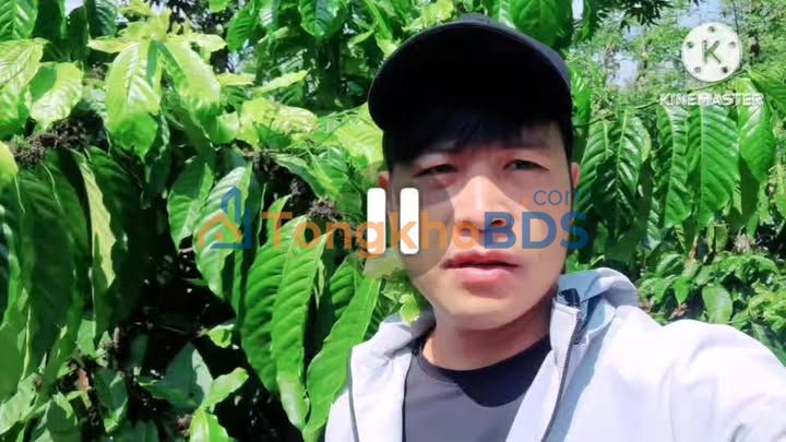 Đất vườn Đức An 1 ha 2.3 tỷ - Sổ hồng rõ ràng