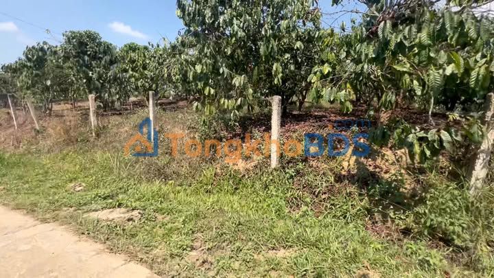 Đất nền Thôn 8 Tân Thanh 1.440m² 1.85 tỷ - Đường to ô tô