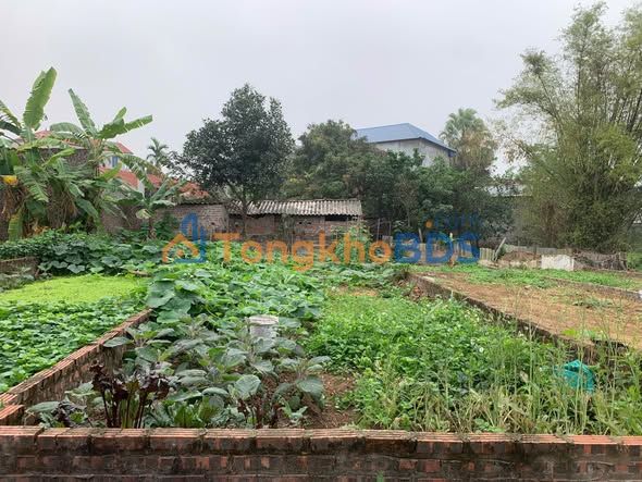 Đất nền Kim An, Thanh Oai 76m² full thổ cư - Sổ sẵn, giá đầu tư 1.55 tỷ