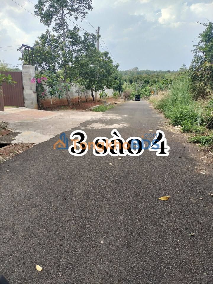 Đất Vườn 3400m² Mặt Tiền Suối Kim Long, Bình Thạnh - Giá 2.5 Tỷ