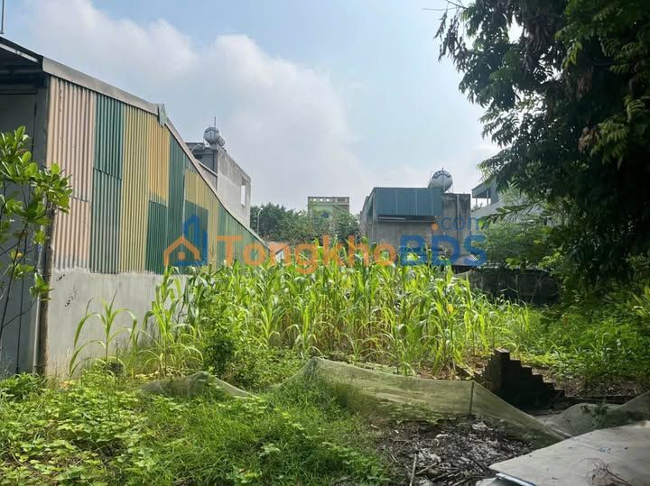 Đất Đoàn Kết Sa Pa 100m² 1 tỷ - Sổ đỏ chính chủ