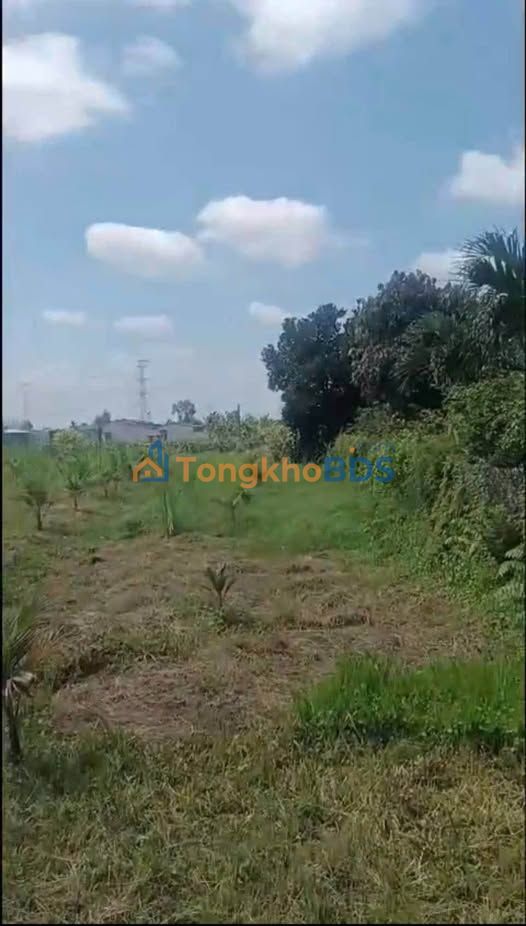 Đất nền Bình Quới Châu Thành 180m² 690tr - Hạ tầng hoàn thiện