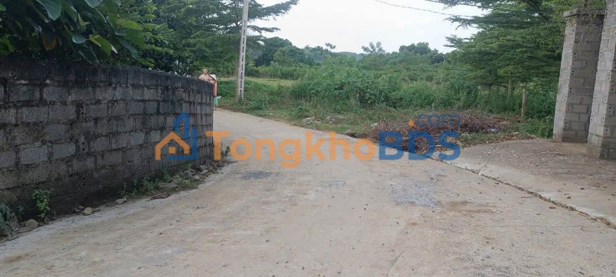 Bán Đất Vườn Lương Sơn 4240m² - Sổ Đỏ Rõ Ràng - Nghỉ Dưỡng Lý Tưởng