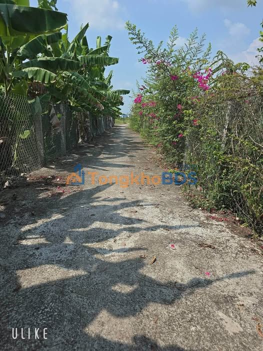 Đất nền Vĩnh Công 760m² 480 triệu - Đường to ô tô