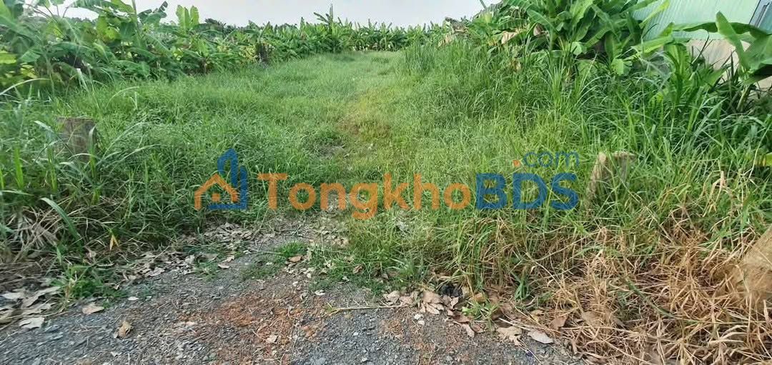 Đất nền Lê Thị Trăm Tân An 250m² 1,15 tỷ - Đường to ô tô