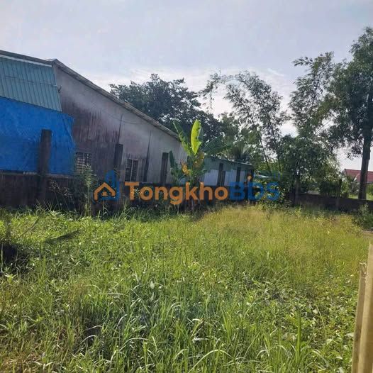 Đất Tân An Long An 111m² 520 triệu - Sổ đỏ chính chủ