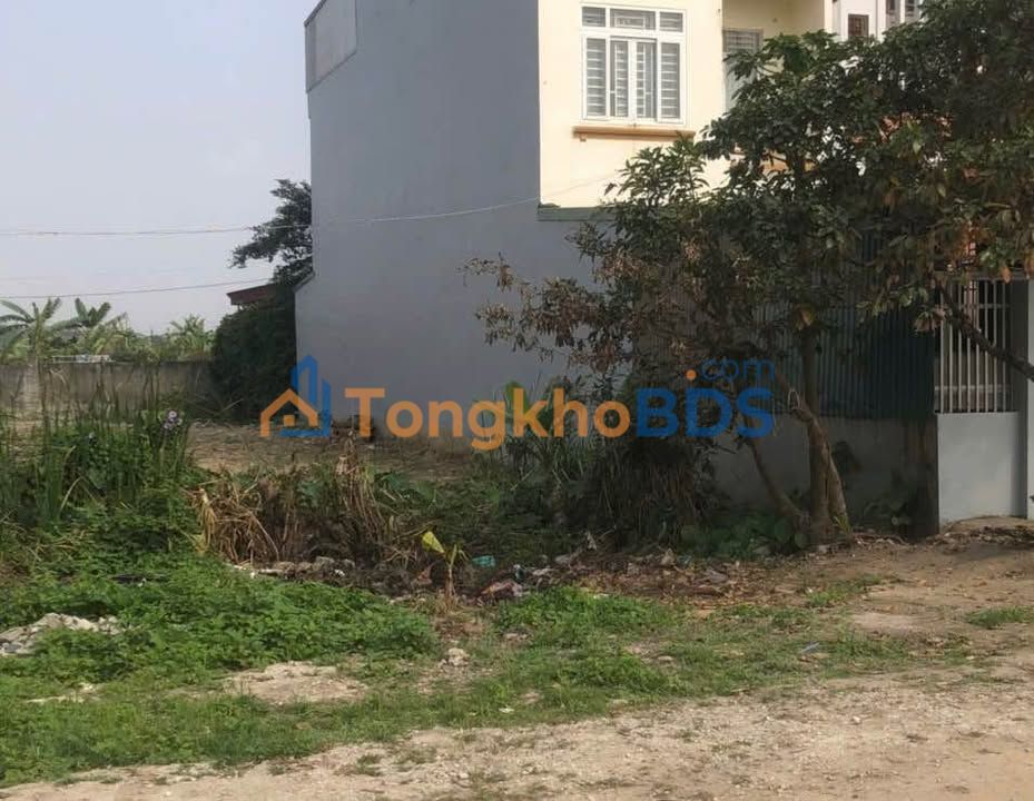 Đất nền Quảng Đông Sầm Sơn 125m² 2 tỷ - Đường to ô tô