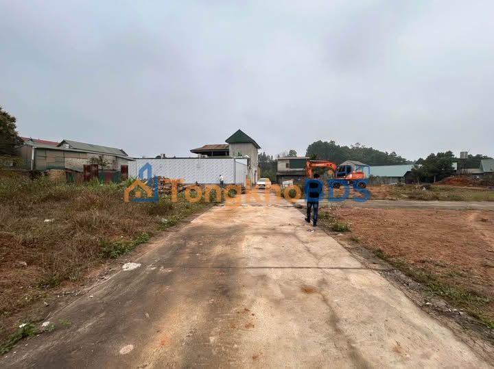 Đất Vàng Xã Tiên Phú, Phú Thọ - Sổ Đỏ Sẵn Sàng, Gần Chợ, 115m² Giá Tốt