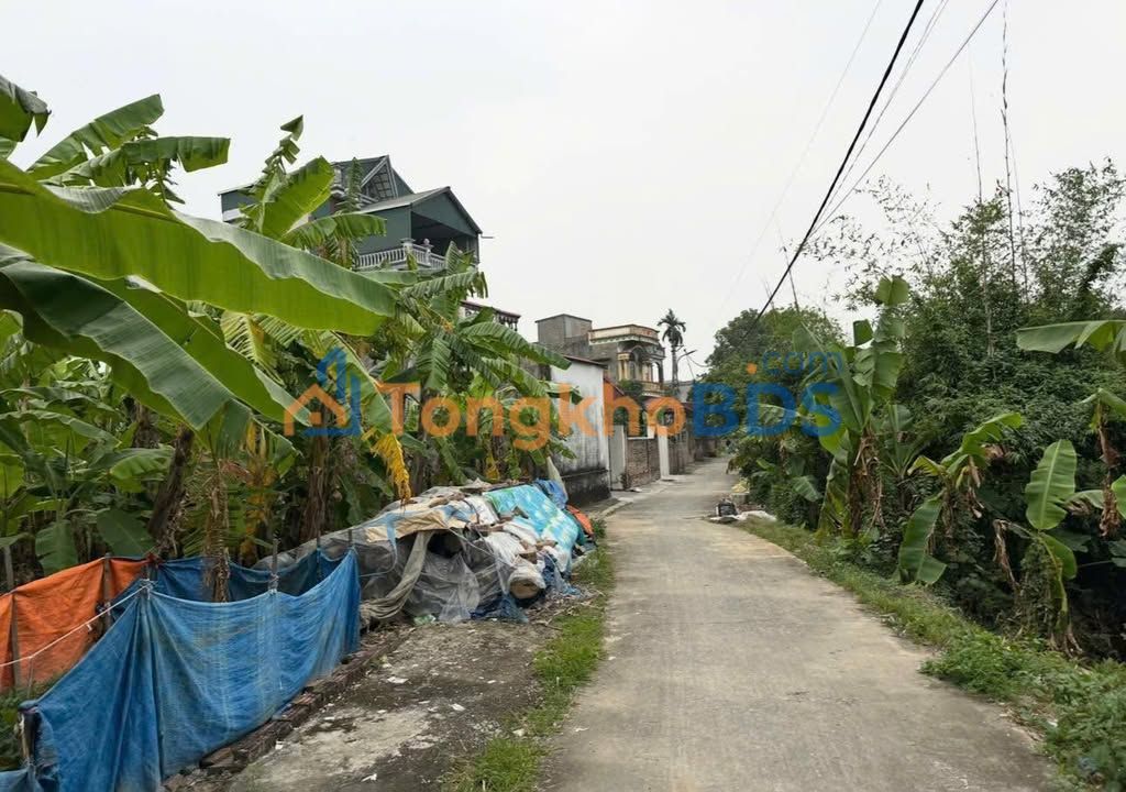 Đất nền Bình Cách 1 tỷ/103m² - Giá tốt hiếm có