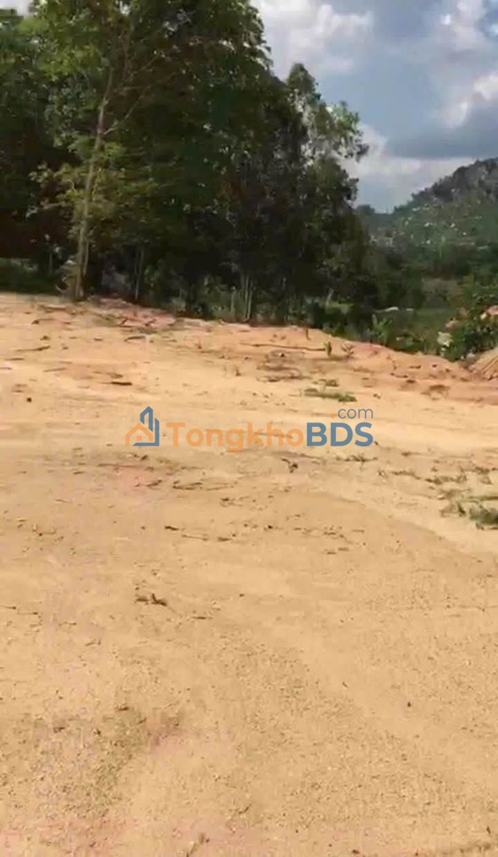 Đất Nền Farm 21ha View Đồi Phan Thiết - Giá Hiếm 25.2 Tỷ