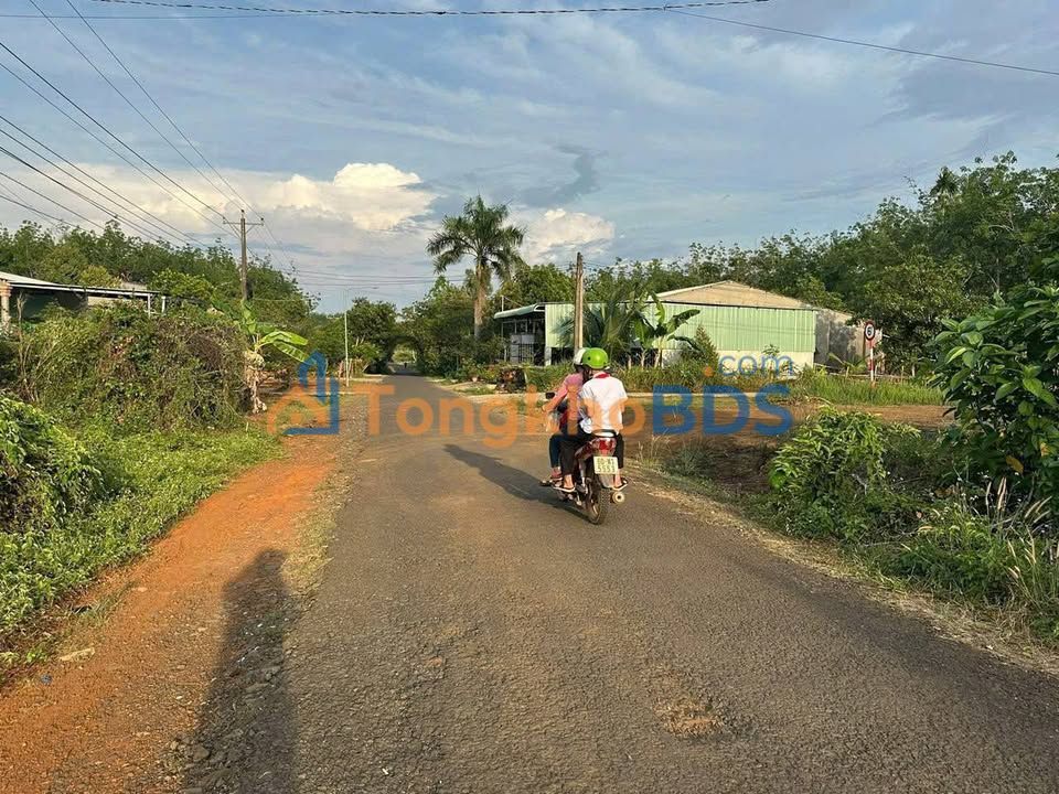 Đất Vàng Ninh Kiều - 215m² Mặt Tiền Đường Nhà Máy Nước Thuận Phú - 4 Tỷ