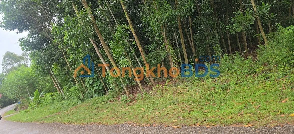 Bán Đất Hữu Lũng Lạng Sơn 343m² - Mặt Tiền 7m, Giá 1.1 Tỷ