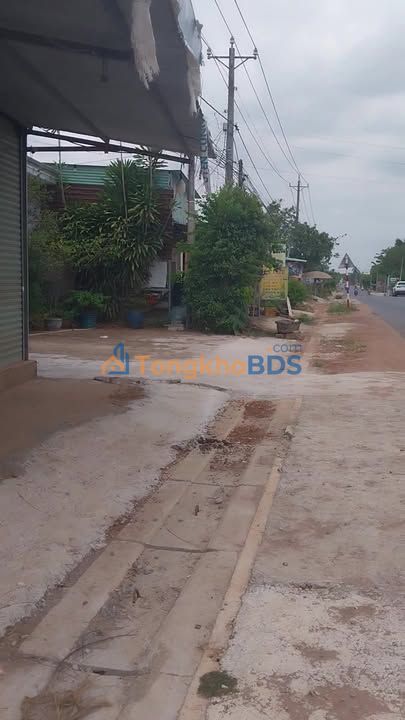 Đất Vườn Cẩm Mỹ 1043m² Sổ Hồng Riêng - Giá F0 Tỉnh Lộ 765