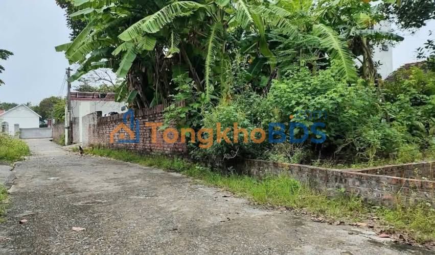 Đất nền Sóc Sơn 90m² giá 1,65 tỷ - Sổ đỏ chính chủ