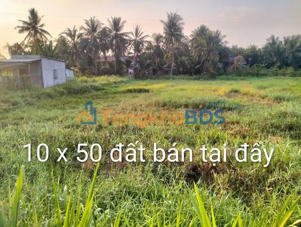 Đất nền Tân An 500m² 1.45 tỷ - Sổ đỏ chính chủ
