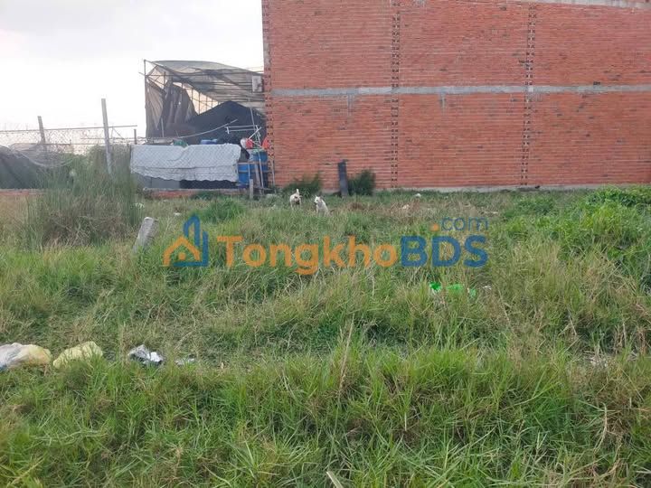 Đất nền Mỹ Hạnh Nam 40m² 550 triệu - Pháp lý rõ ràng