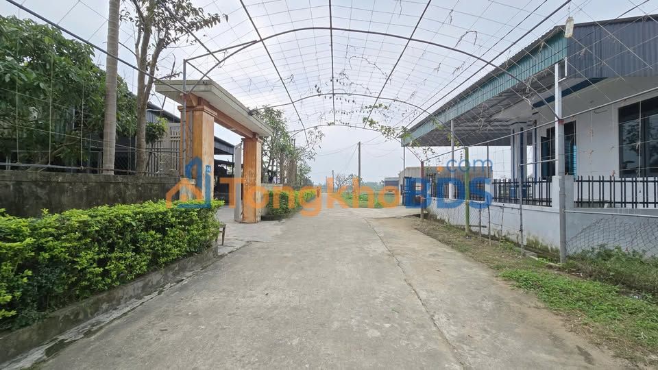 Đất nền Thôn Hà Thanh Thạch Lạc 132m² 1,5 tỷ - Sổ đỏ chính chủ