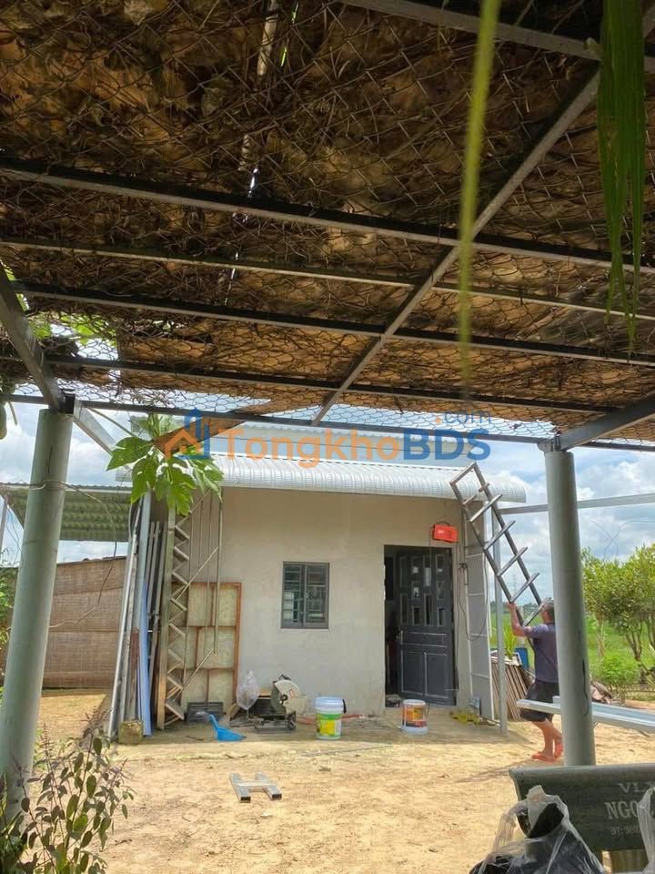 Đất vườn Phước Thạnh Củ Chi 756m² 3 tỷ - Giá tốt hiếm có