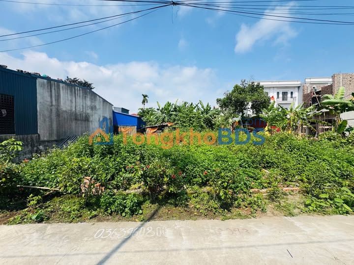 Đất nền Ngô Quyền Hải Phòng 65m² - Ngõ ô tô, gần chợ, 1.6 tỷ