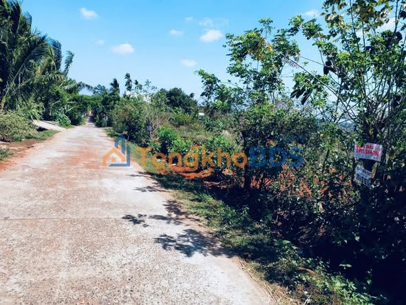 Đất nền Kom Leo Hòa Thắng 300m² 1.95 tỷ - Sổ đỏ