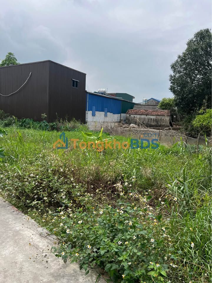 Đất nền Thôn Vụ Trường Thi 80m² 700 triệu - Sổ đỏ chính chủ