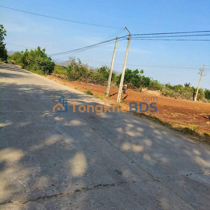 Farm Ninh Thuan TL705 5ha gia 10 ty - So do chinh chu