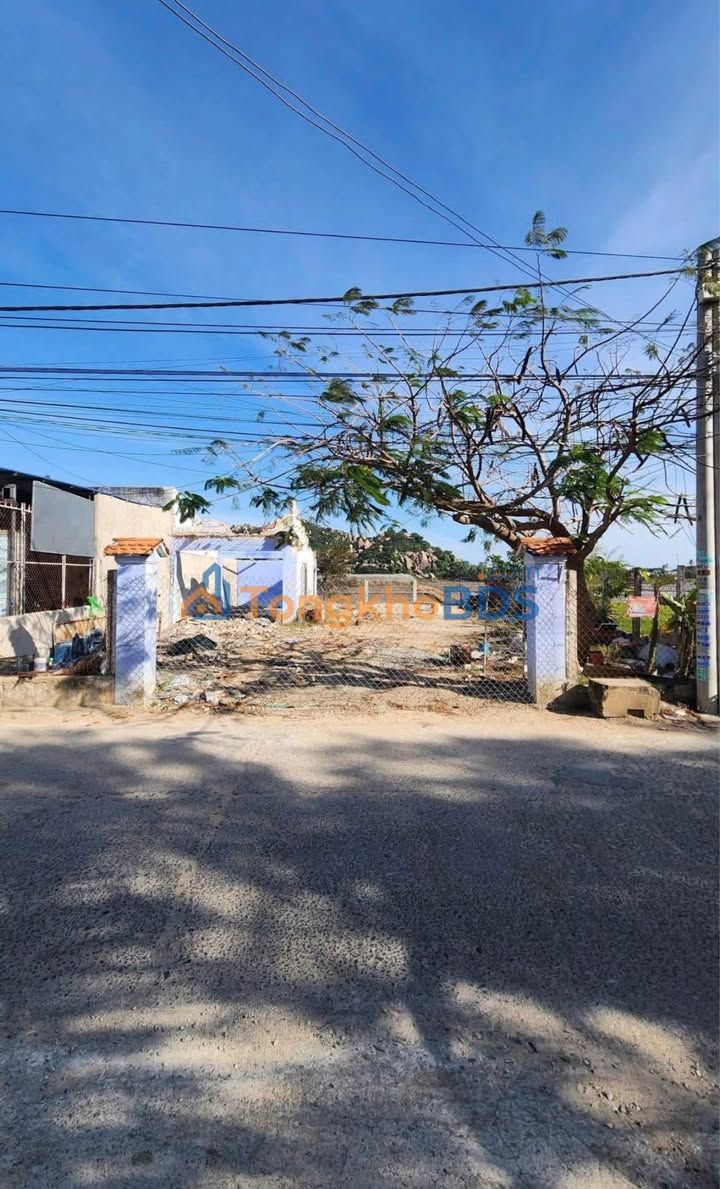 Đất Ninh Hải Nguyễn Trác Hò Rò 100m2 1.5 tỷ - Sổ đỏ