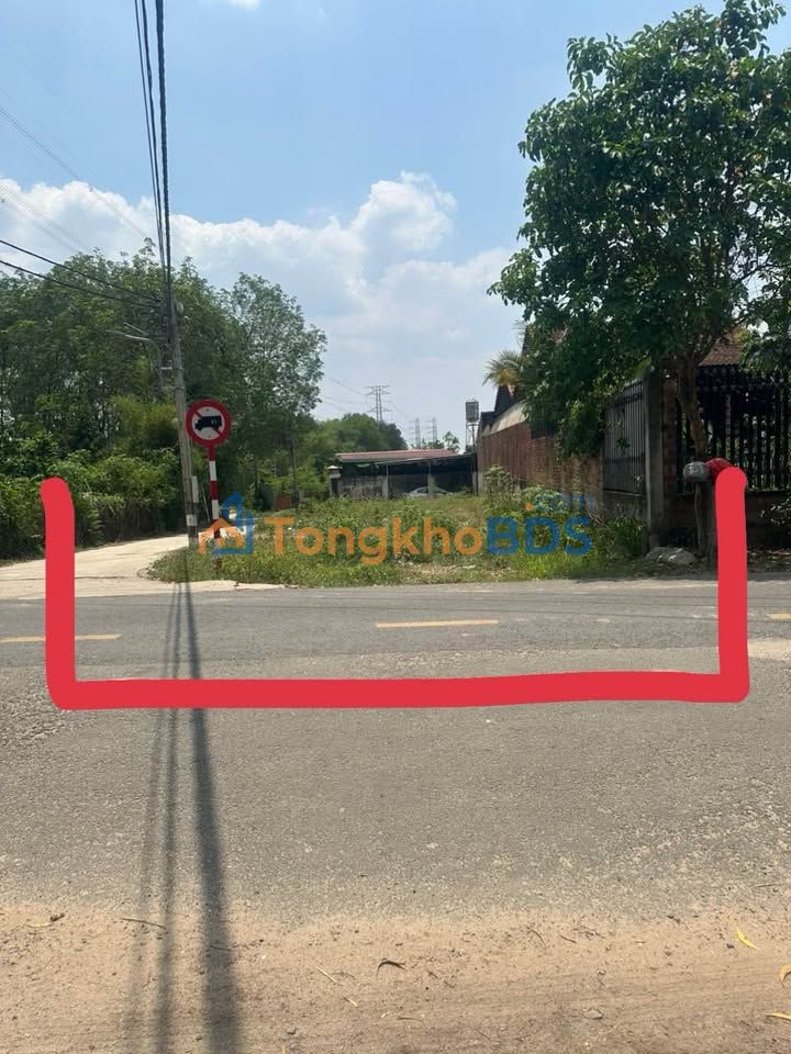 Đất nền Thủ Dầu Một 226m² giá 2.5 tỷ - Sổ đỏ chính chủ