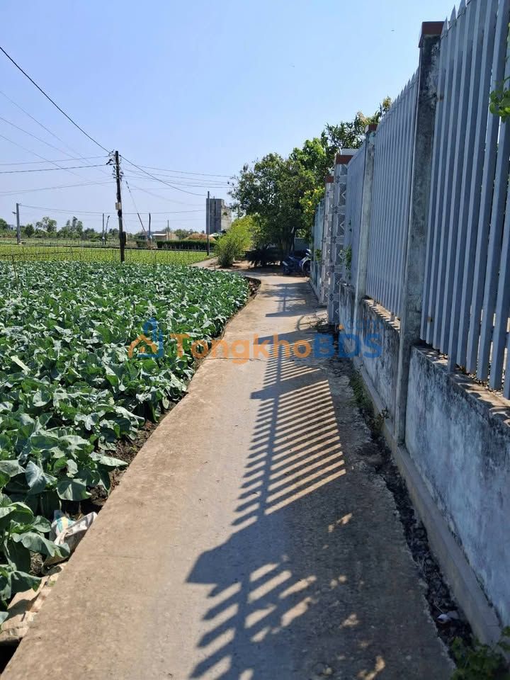 Đất nền Cầu Bà Trà Tân Đông 144m² 190 triệu - Sổ đỏ chính chủ