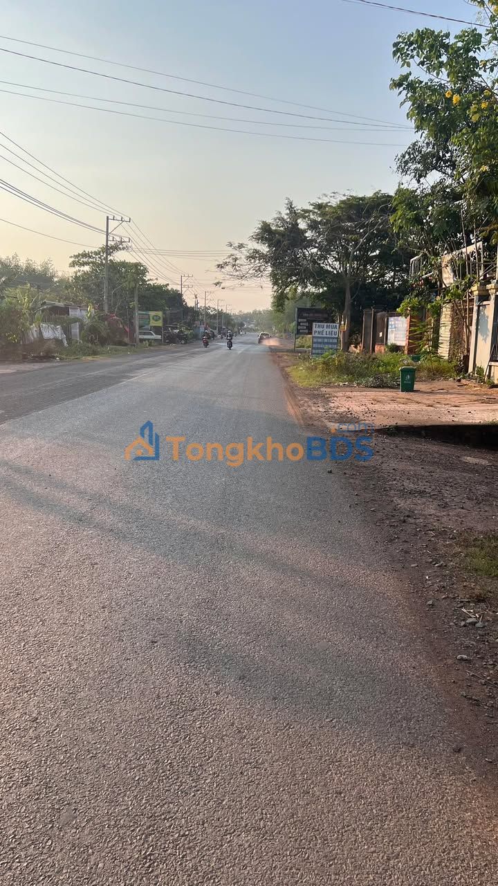 Đất nền Dầu Tiếng DT753 620m² 186 tỷ - Tiềm năng tăng giá