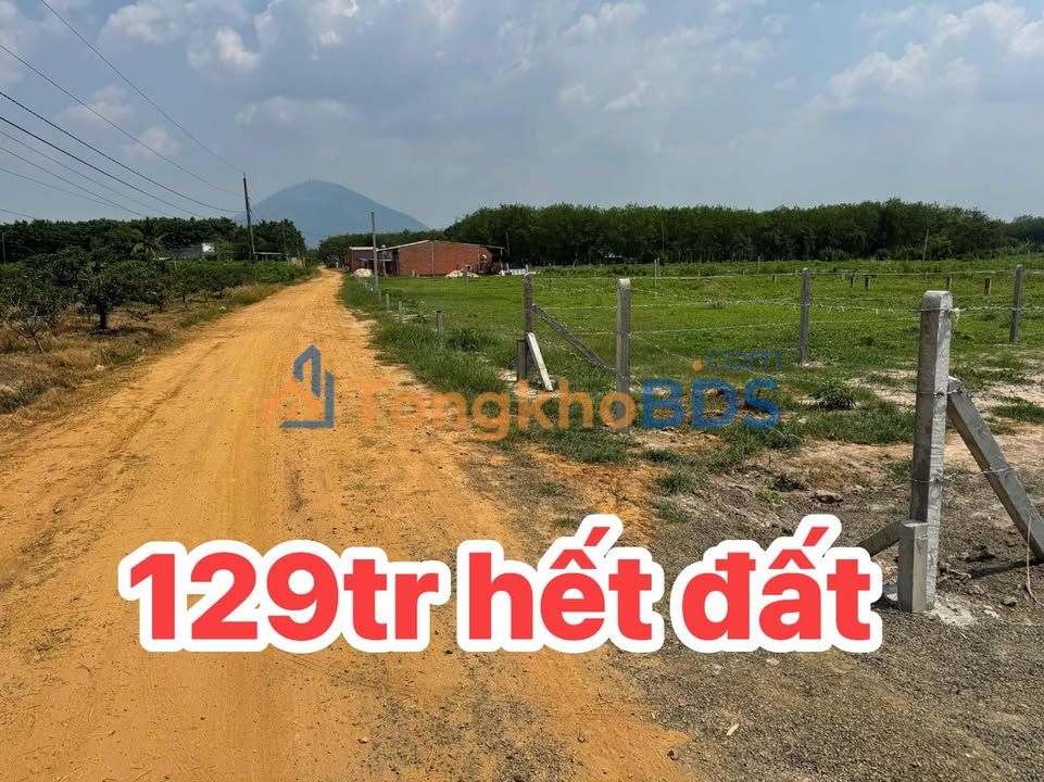 Đất Trà Hiệp Tây Ninh 200m² 129 triệu - Đường to ô tô