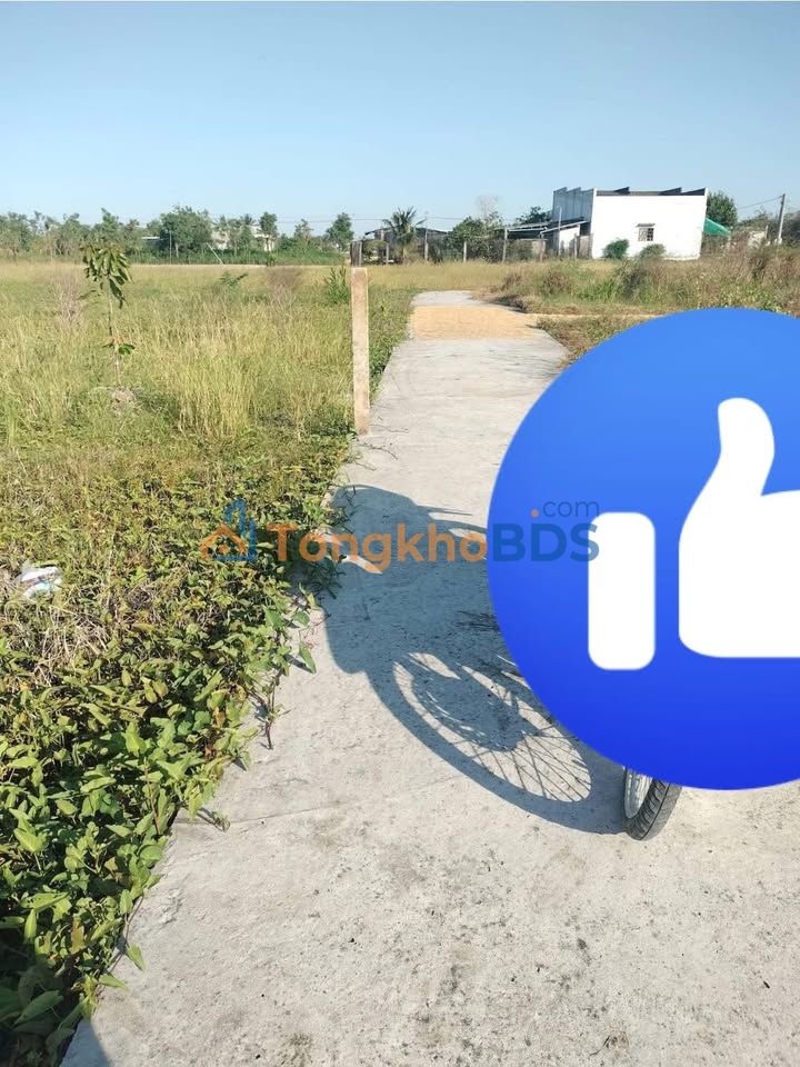 Đất nền Tân Trung Gò Công 134m² 225tr - Tiềm năng tăng giá